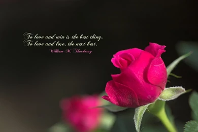 I Love You Wallpapers With Quotes For Him   Album On Quotesvil.com