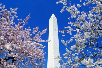 HD Washington Pictures Wallpapers