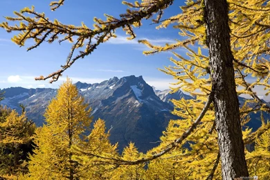 Washington Mountains Wallpapers High Quality