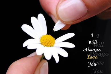 Sad Love Wallpapers With Quotes HD Wallpapers