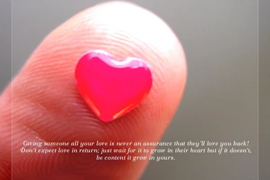 Love Quotes Wallpapers 16 Quotes Wallpapers