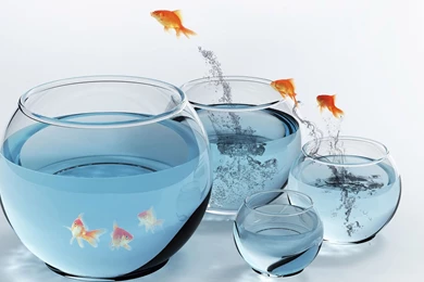 3d Fish Tank Wallpapers Free