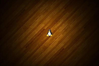 Ubuntu Wallpapers Set 17