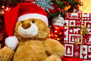 Win A Security Gate At 'Toys For Joy' Fund raiser