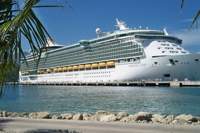 Pictures Of Freedom Of The Seas?   Cruise Critic Message Board Forums