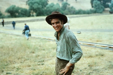 Elvis Presley Rock Men Hw Wallpapers