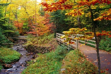 Fall Scenery Wallpapers Desktop   Wallpapers Zone