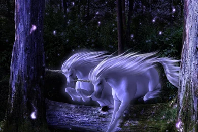 Unicorn Wallpapers   Unicorns Wallpapers (6100051)   Fanpop