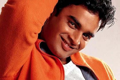 All Bollywood Actors Wallpapers Free Download Indian Bollywood ...