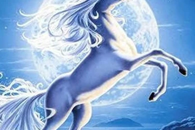 UNICORN WALLPAPER   (