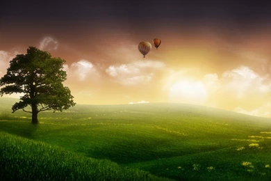 Free Wallpapers Photo,desktop Wallpapers