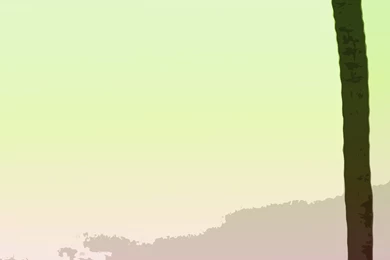 Free Stock Photo 4389 Tropical Backgrounds