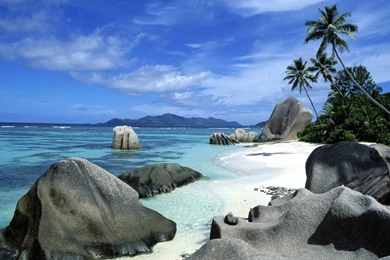 20+ Tropical Backgrounds, Wallpapers, Images