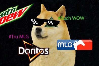 Tru MLG Doge By Levileadermc On DeviantArt