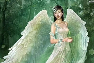 Free Christmas Angel Wallpapers & Pictures Gallery