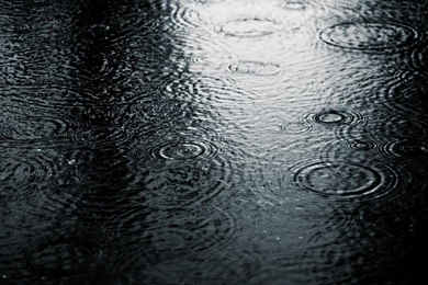 1920x1080 Rain Browser Themes & Desktop Wallpapers