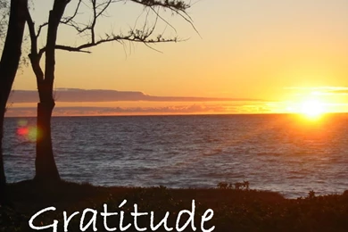 Develop And Attitude Of