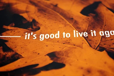 Wednesday Gratitude & Free iPhone Wallpapers   Lix Hewett