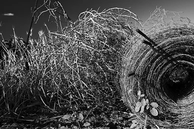 Wallpapers In 1920x1080 HD Resolution   HD Çözünürlükte Duvar ...