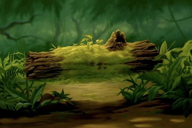 Animation Backgrounds: THE LION KING