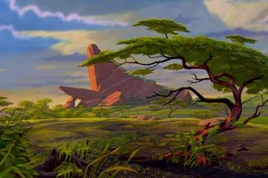 The Lion King HD Screencaps Gallery   Backgrounds Art