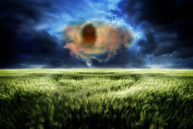 83 The Lion King HD Wallpapers