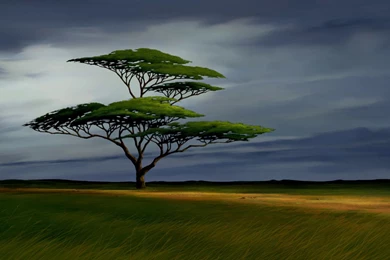 The Lion King HD Screencaps Gallery   Backgrounds Art