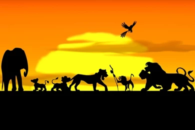 The Lion King Wallpapers HD   HD Wallpaper Backgrounds Of Your Choice