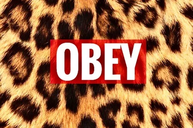 Obey   Image