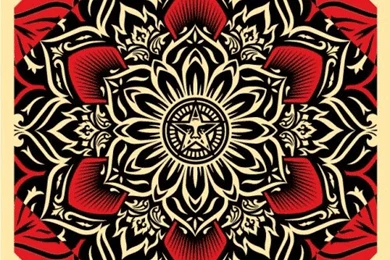 Lotus Between The Neon And The Sea