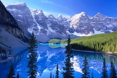 Nature Wallpapers HD [50 Amazing Desktop Backgrounds]