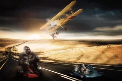 Primates Monkey Fun Desert Macaque Baboon Orangutan Plane Gokart ...