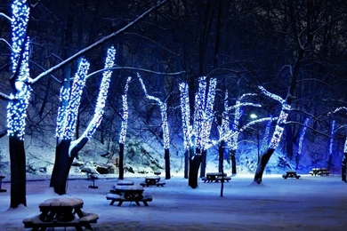 Attractive Christmas Lights Wallpapers Hd Wallpapers