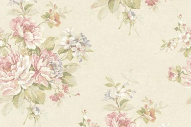 Pale Pink Wallpapers