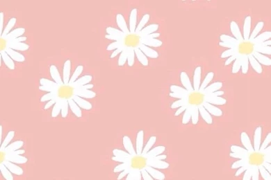 Pale Pink. Flower Sticker/overlay.