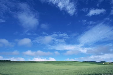 Sky.cloud.field   2560x1600   Landscape Wallpapers － Free ...