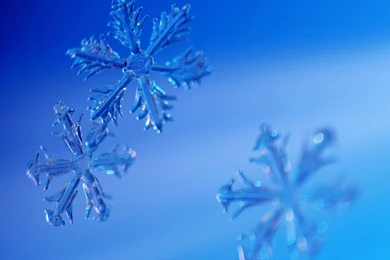 Snow Wallpapers   Winter Wallpapers   Free Wallpapers, Desktop ...