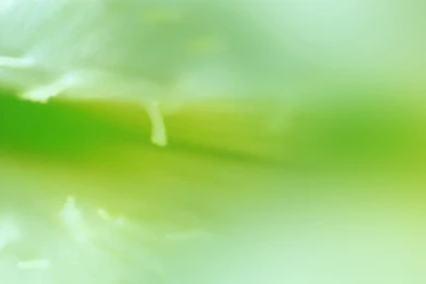 Kristel Graphics: DIGITAL ALBUM BACKGROUND   CREATIVE WORK IN ...