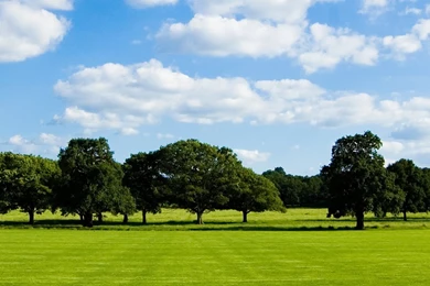 Peaceful Meadow HD Desktop Wallpapers : High Definition ...