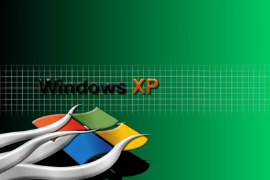 Computer: Windows XP   Who Took My Xp, Picture Nr. 24953