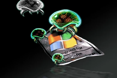 Windows Xp Corruption   (