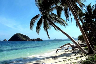 Nice Wallpapers Desktop