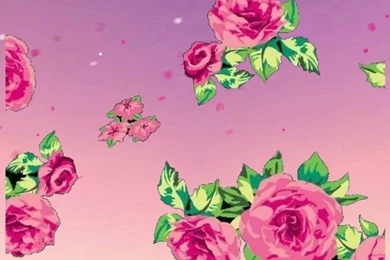 VS PINK Wallpapers ♥ On Pinterest