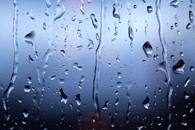 Rain Drops Desktop Wallpapers