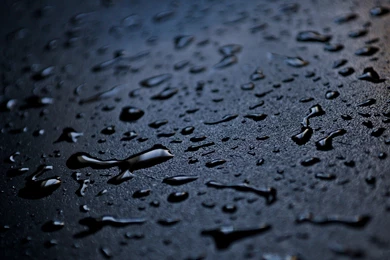 Wallpapers Raindrops