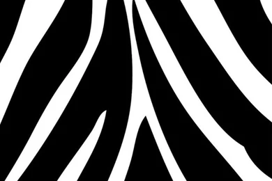 Black And White Abstract iPhone Wallpapers, iPhone 5(s)/4(s)/3G ...