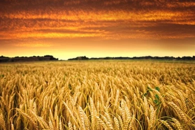 Download Sony Xperia Z Ultra Full HD Wallpapers   Vodeblog