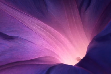 Sony Xperia Z Ultra HD Wallpapers