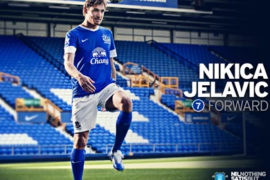 Beloved FC Of England Everton Wallpapers And Images   Wallpapers ...
