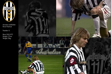 Pavel_Nedved_wallpapers.jpg?m=1293802636